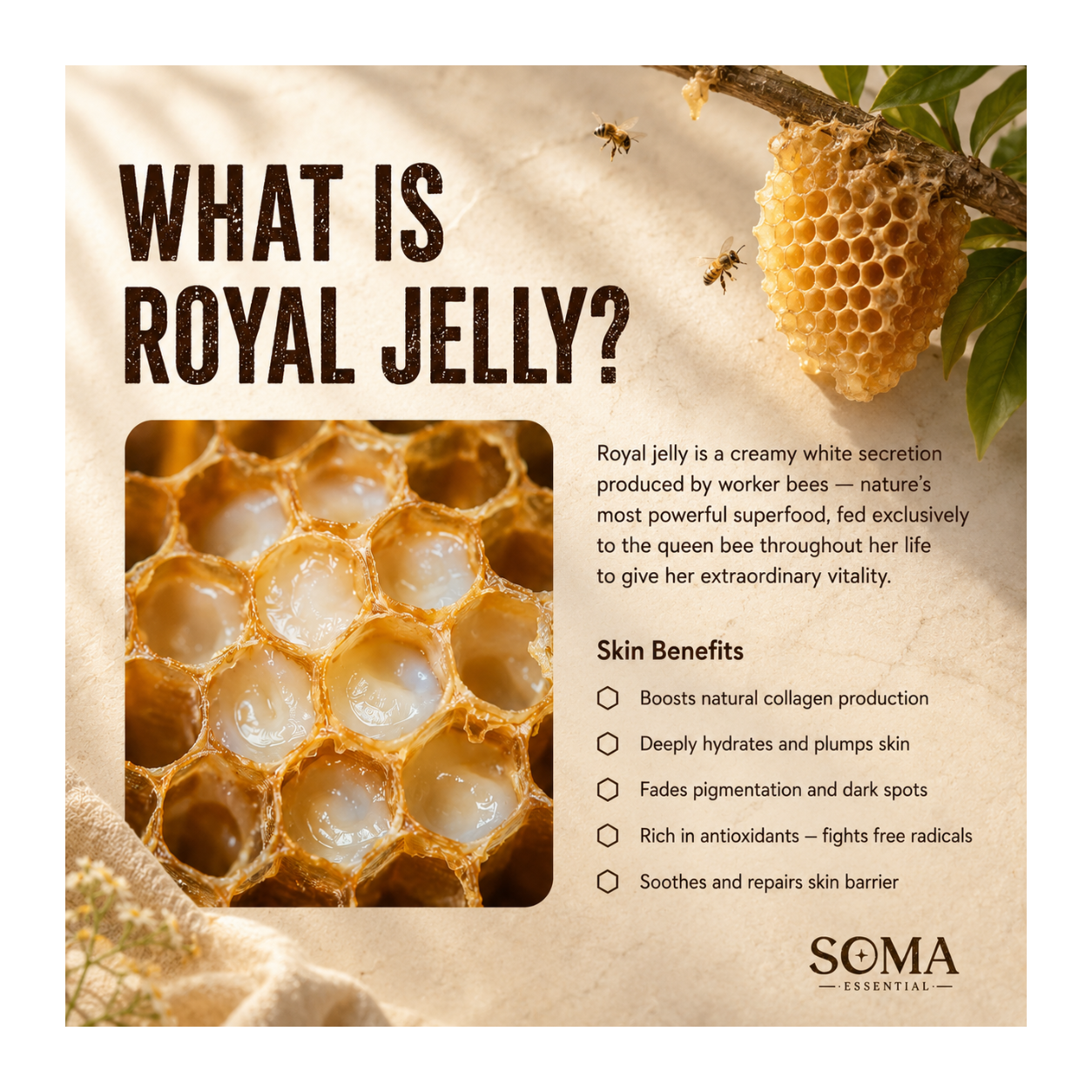 Royal Jelly Vitamin C Serum for Glowing Skin | Glow of Protein